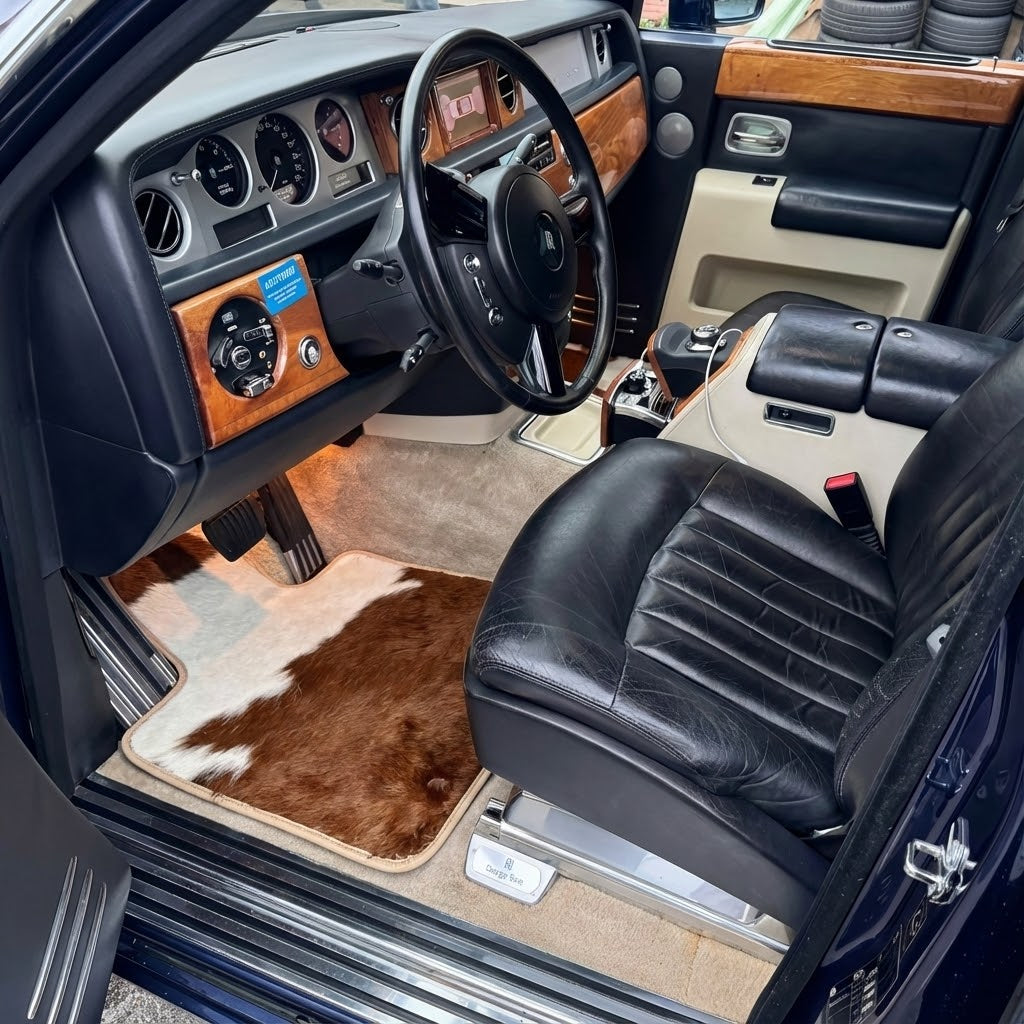 Leather Floor Mats