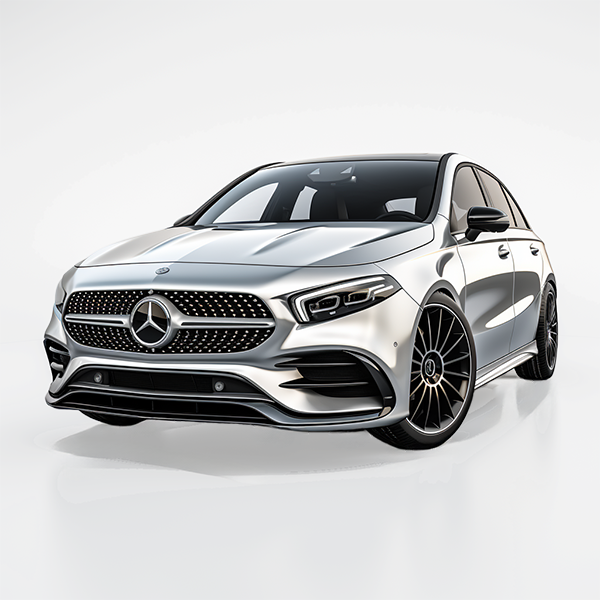 Mercedes Benz B Class Floor Mats - AutoWin